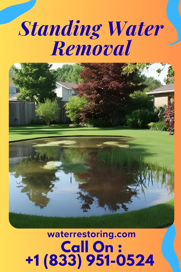 Standing Water Removal in Sandy, OR